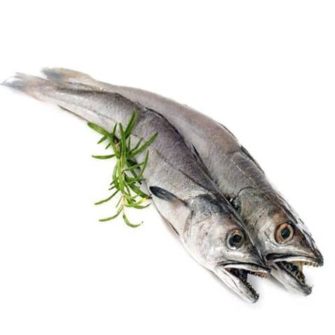 Fish Merlan 1kg سمك طازج ميرلان