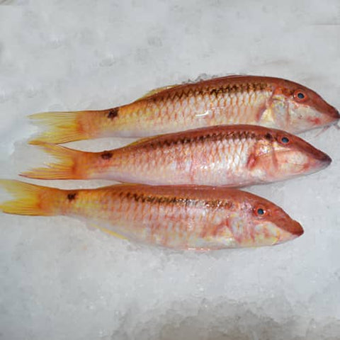 Fish Sultan 1kg سمك طازج سلطان صغير