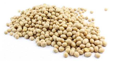 Soybean 200g فول صويا