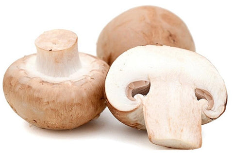 Fresh Mushroom 300g  فطر فريش 300 غرام