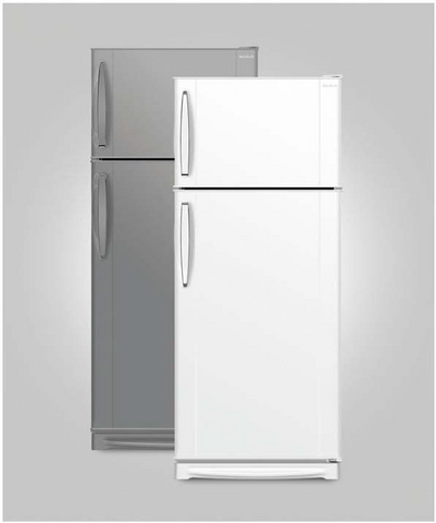 Double Door Refrigerator Regular TE1907 براد 19 قدم بابين تبريد تلج