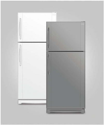 Double Door Refrigerator Regular TE2620 براد 26 قدم بابين تبريد تلج