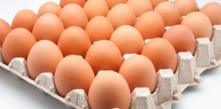 Egg carton سفط بيض